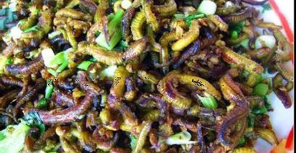 广州的奇葩美食炖禾虫的做法 